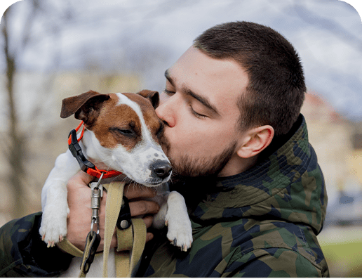 cuidado perros